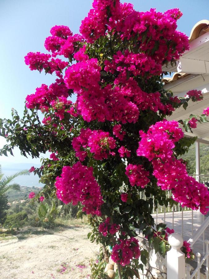 Vasiliki View Villa Ágios Pétros Екстериор снимка